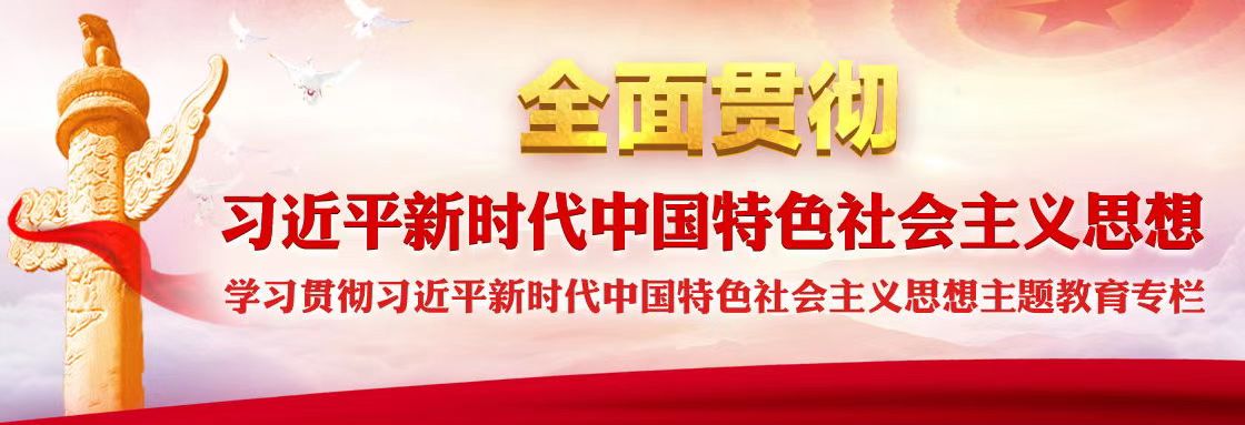 學(xué)習(xí)貫徹習(xí)近平新時(shí)代中國(guó)特色社會(huì)主義思想主題教育
